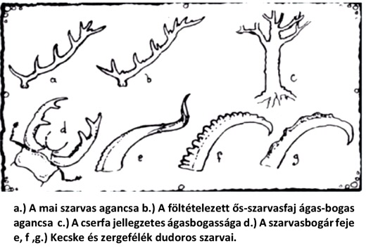 assets/Ágas-bogas_image1.png|invert_dark