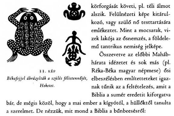 assets/Béka_image3.jpeg|invert_dark