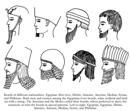 assets/Beard_image1.png|invert_dark