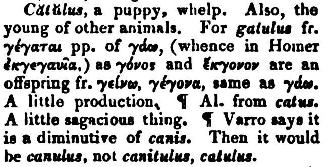 assets/Cat_image1.png|invert_dark