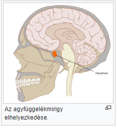 assets/Lélek_image4.png|invert_dark