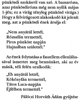 assets/Lemniszkáta_image4.png|invert_dark