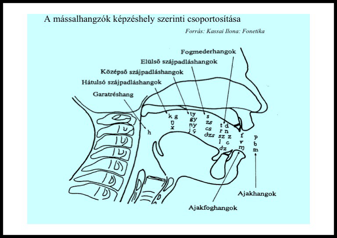 assets/Mássalhangzók_image1.png|invert_dark