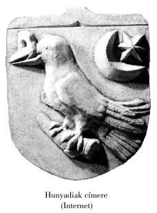 assets/Mátyás_image1.jpeg|invert_dark