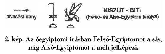 assets/Méh_image4.jpeg|invert_dark