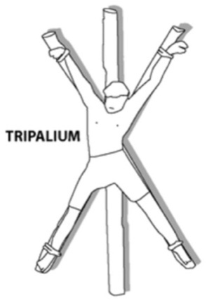 assets/Mithra_image2.jpeg|invert_dark