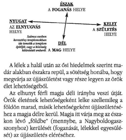 assets/Naphalott_image2.png|invert_dark