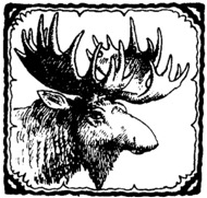 assets/Oak_image1.png|invert_dark