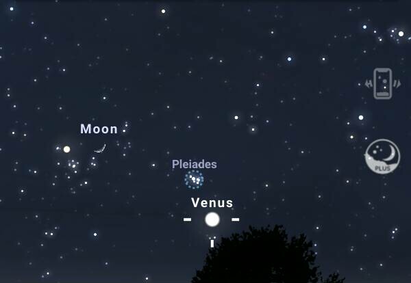 assets/Pleiadok_image2.jpeg|invert_light