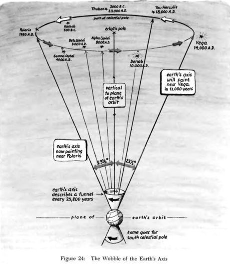 assets/Sarkcsillag_image1.jpeg|invert_dark