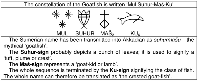 assets/Suhurmasku_image1.png|invert_dark