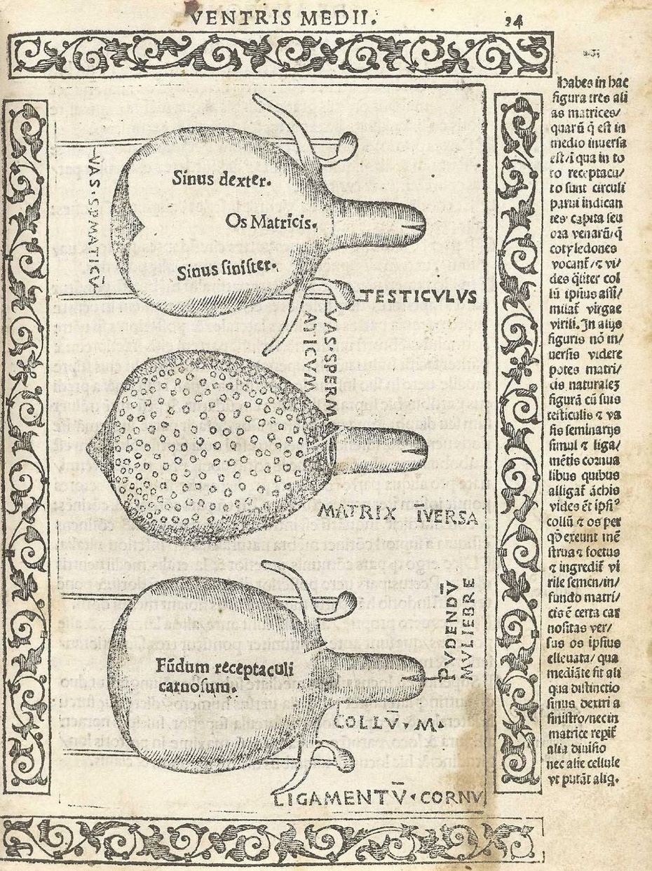 assets/Szarv_image11.jpeg|invert_dark