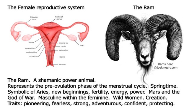 assets/Szarv_image12.png|invert_dark