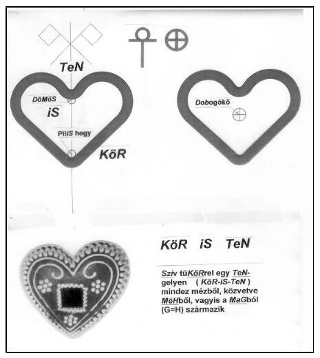 assets/Szarv_image20.jpeg|invert_dark