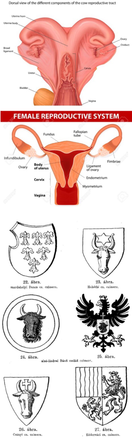 assets/Szarv_image4.png|invert_dark