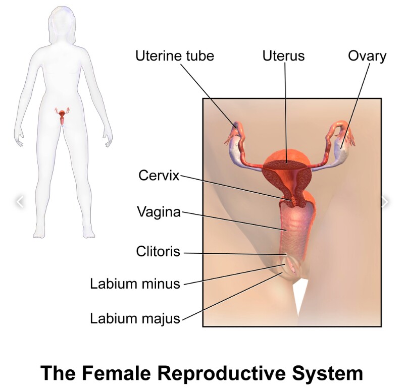 assets/Szarv_image5.jpeg|invert_dark