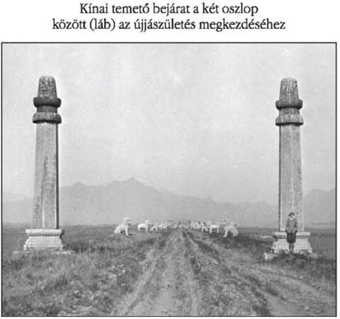 assets/Sziget_image5.png|invert_dark