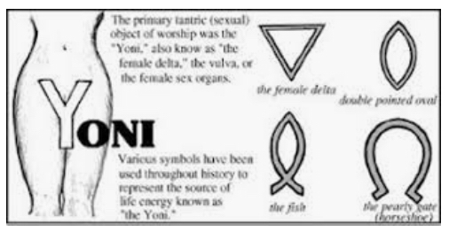 assets/Sziget_image6.png|invert_dark